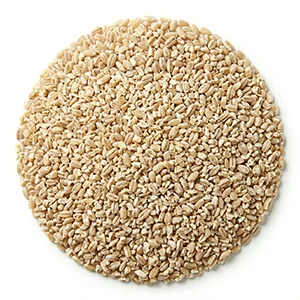 Pearl Barley