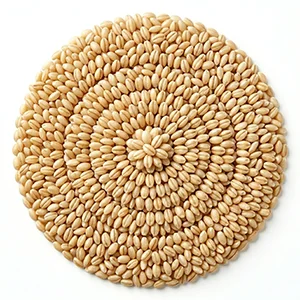Pearl Barley