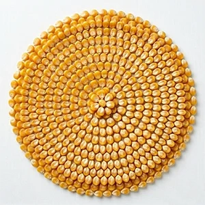 corn