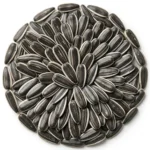 Iranian round white sunflower seeds
