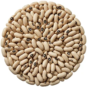 bean