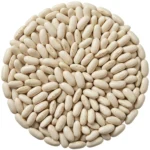 bean