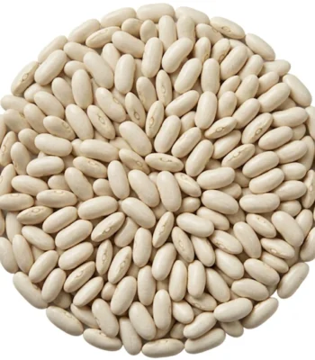 bean