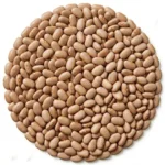 bean