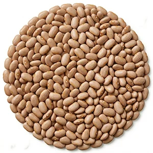 bean