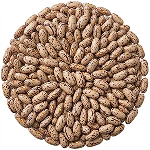 bean
