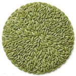 cumin