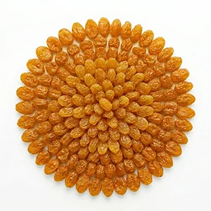 dried plums
