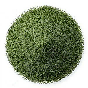 dry dill