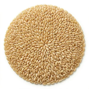 hulled wheat