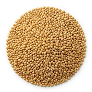 millet