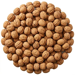 walnuts with skin