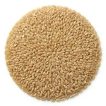 wheat semolina