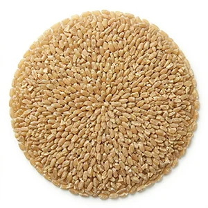 wheat semolina